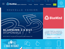 Tablet Screenshot of bluemind.net